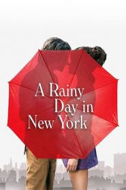 纽约的一个雨天