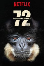 72大危险动物：亚洲