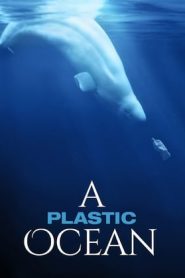 塑料海洋