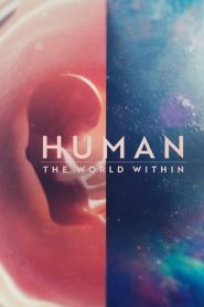 人类：体内的世界
