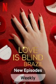 爱情盲选：巴西篇