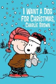 我圣诞节想要一只狗，查理·布朗