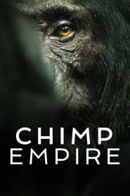 黑猩猩帝国