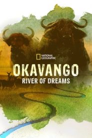 奥卡万戈：梦想之河