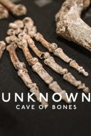 地球未知档案：骸骨洞穴